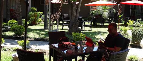 A man sitting at an outdoor table with a giraffe statue in the background.