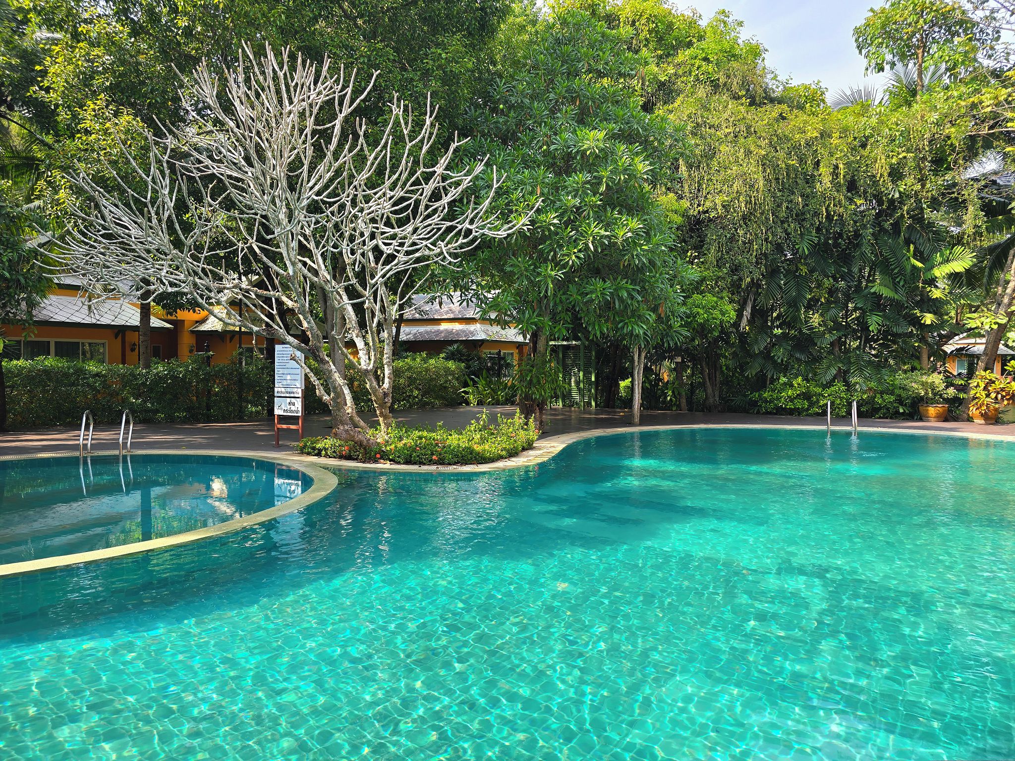 A clear blue pool surrounded by lush greenery and a building with a tiled roof.