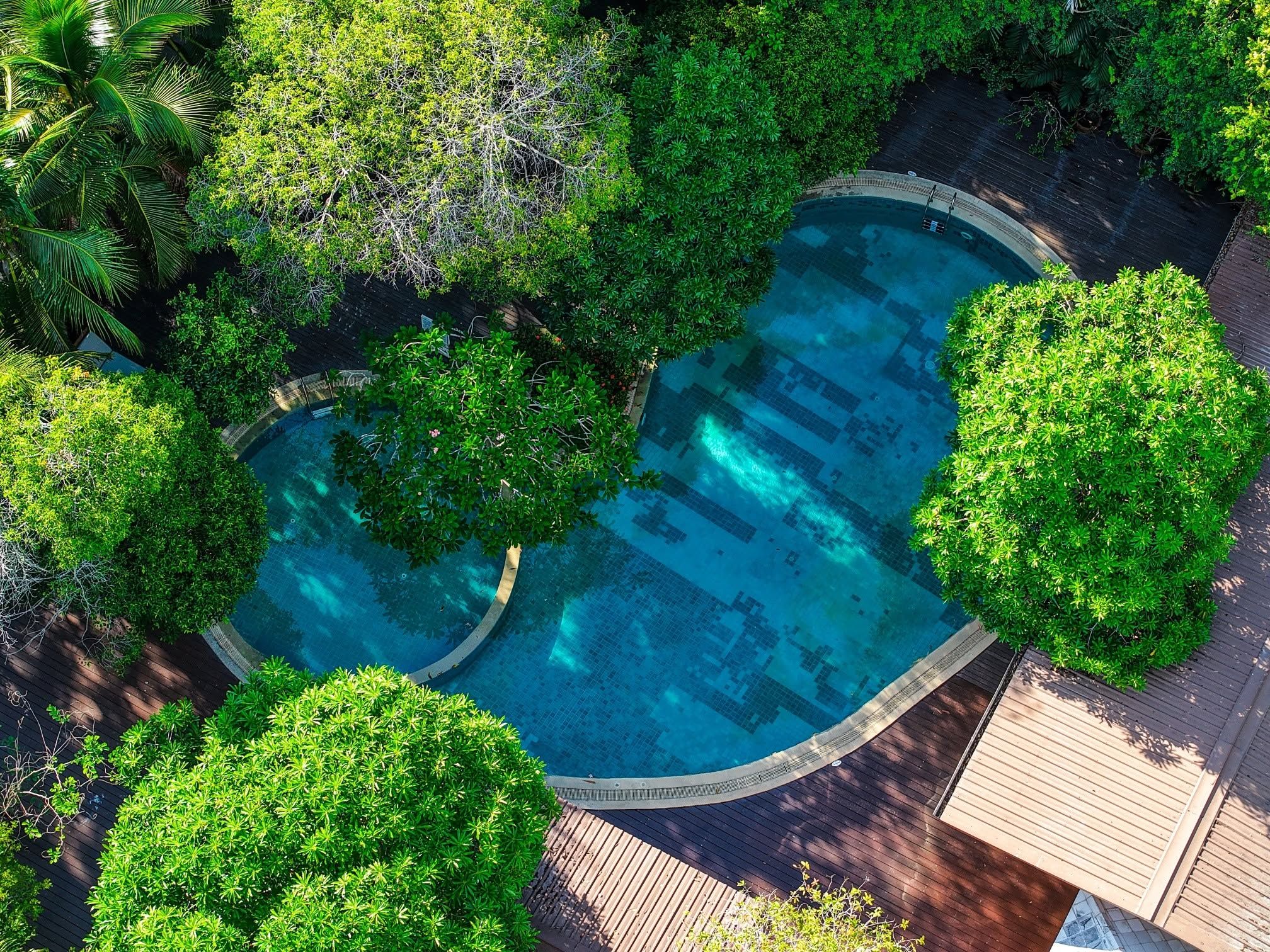 An aerial view of a swimming pool surrounded by lush greenery.