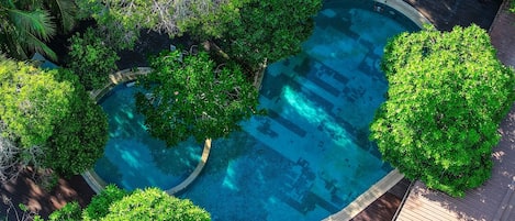 An aerial view of a swimming pool surrounded by lush greenery.