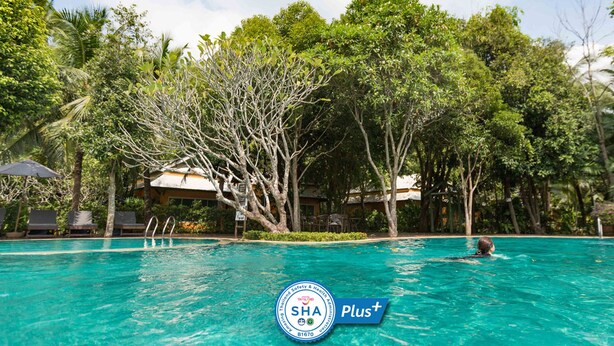 Una piscina cristalina rodeada de exuberante vegetación y árboles, con una persona nadando.