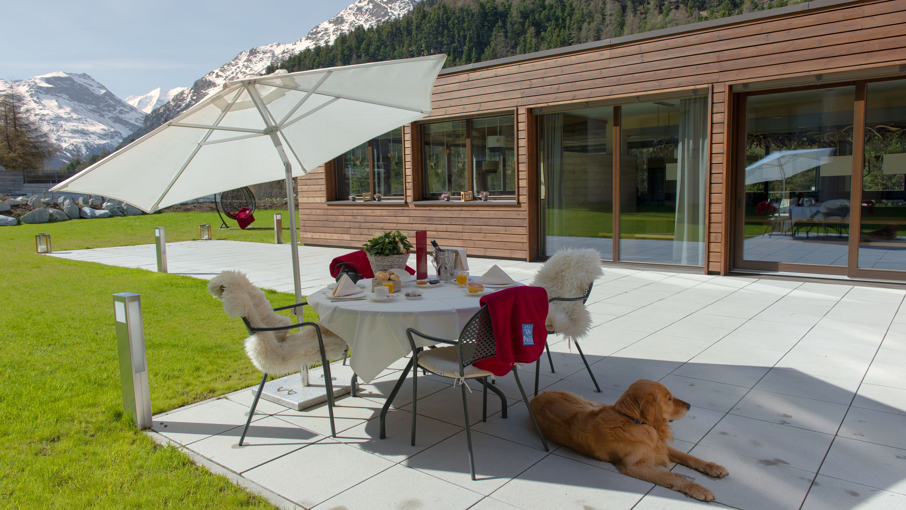 A patio with a table set for breakfast, a dog lying on the ground, and a mountain view in the background.
