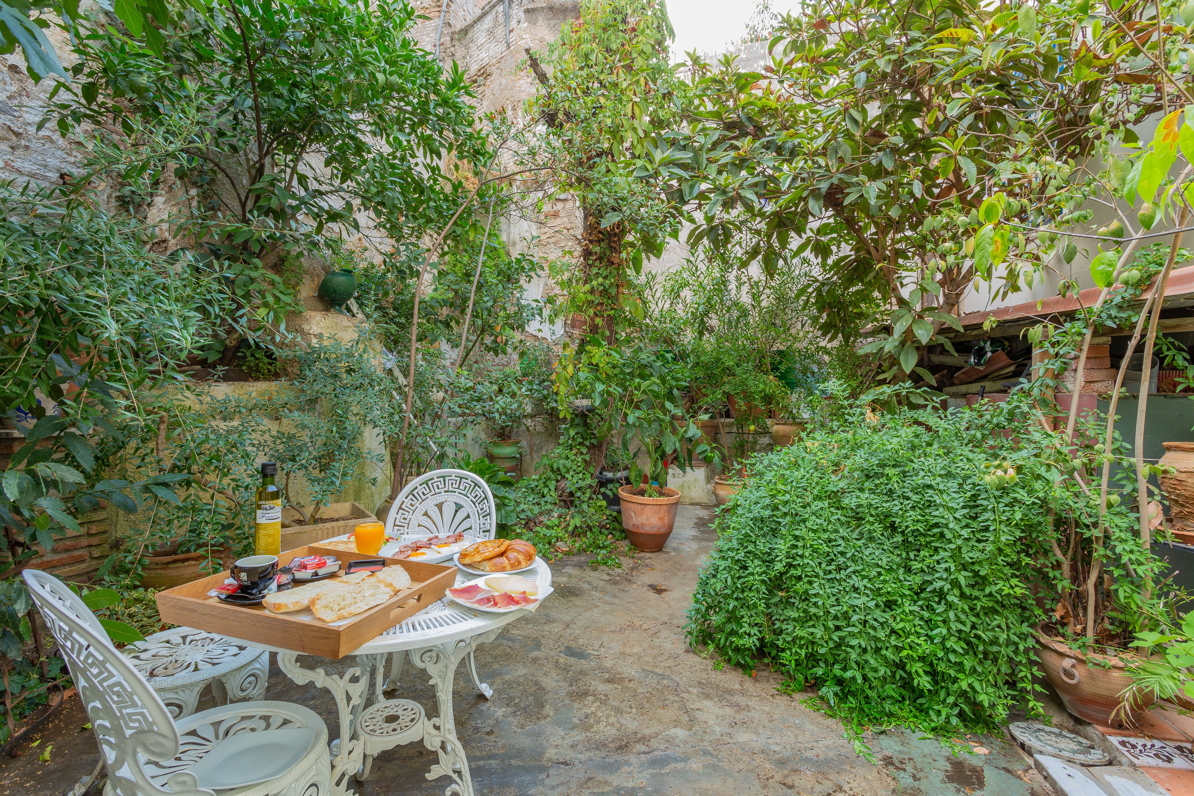 テラス / パティオ