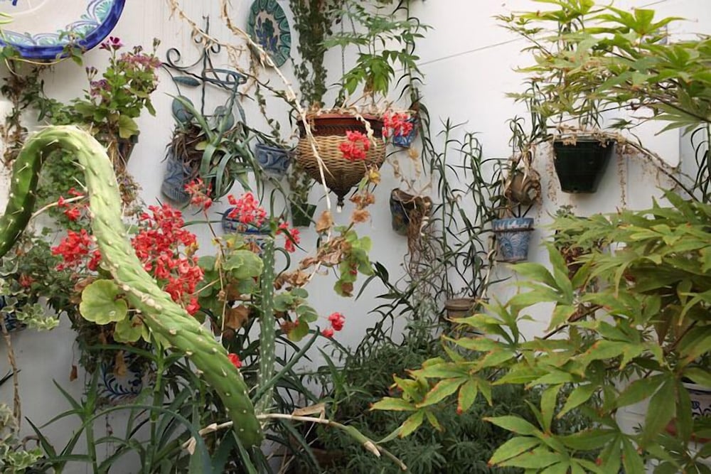 Pensión Landazuri by null