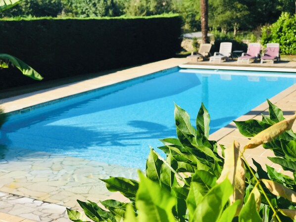 Alberca al aire libre por temporada y sombrillas en la alberca 