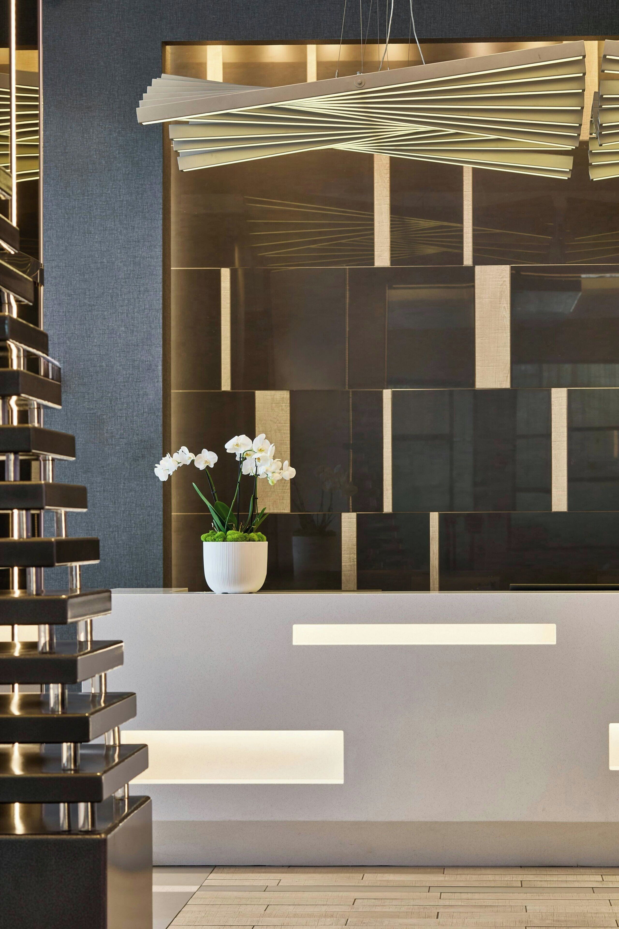 Zona de recepción con diseño moderno, que incluye un mostrador de recepción, una planta en maceta con flores blancas y un diseño geométrico en la pared.