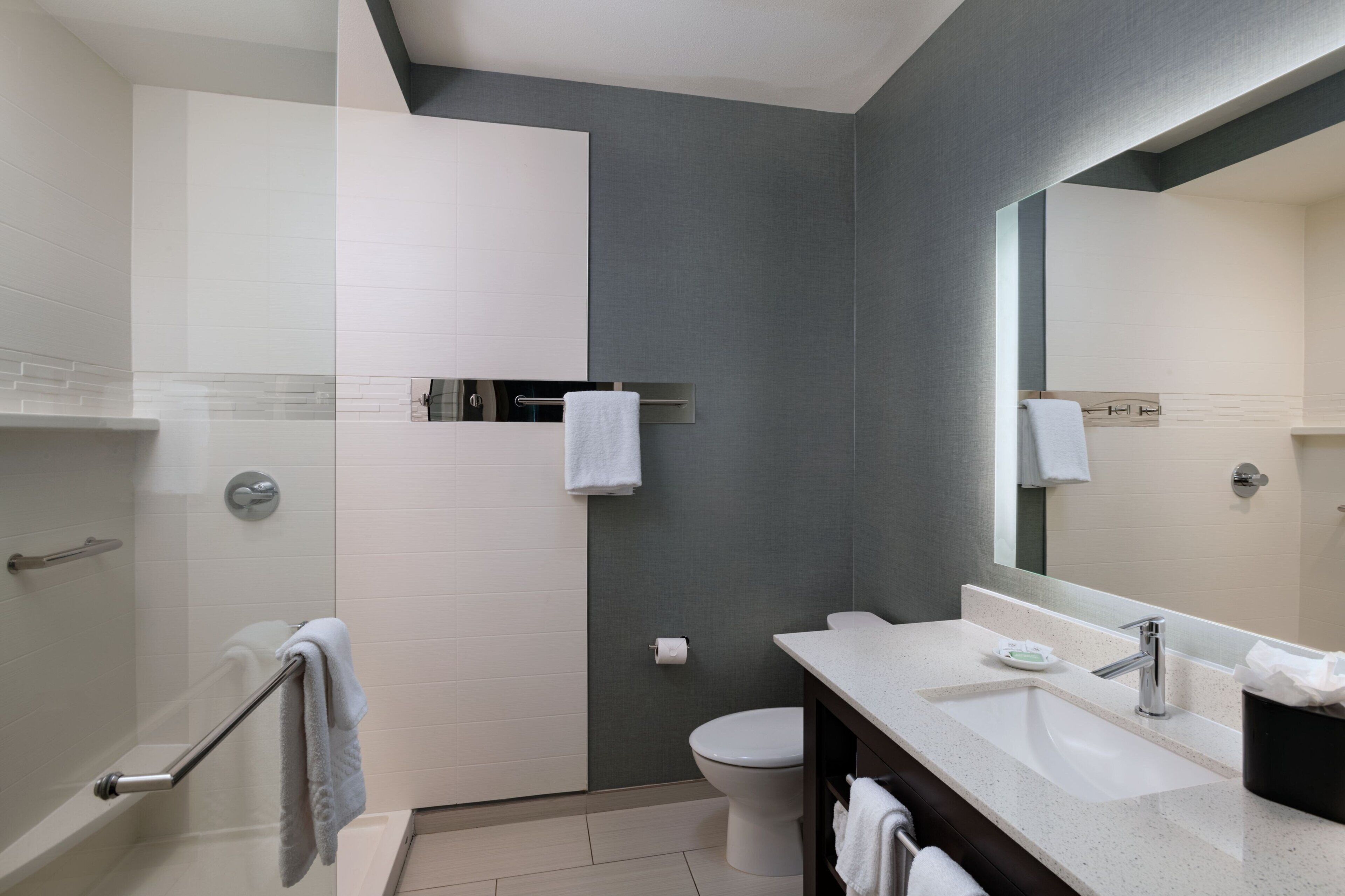 A modern bathroom with a walk-in shower, a toilet, and a vanity with a sink and mirror.