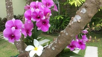 Een tuin met paarse orchideeën en een witte bloem op een boom.