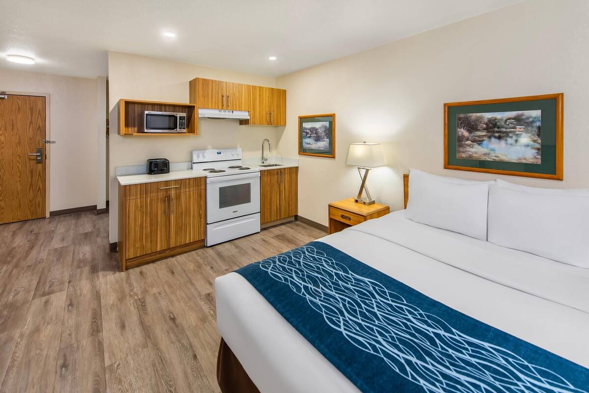 Suite, 1 Queen Bed, Non Smoking (Efficiency, Upgrade)
