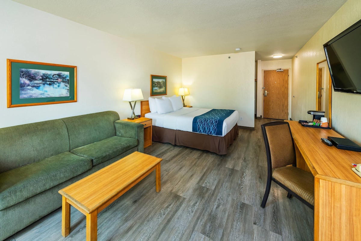 Suite, 1 Queen Bed with Sofa bed, Non Smoking