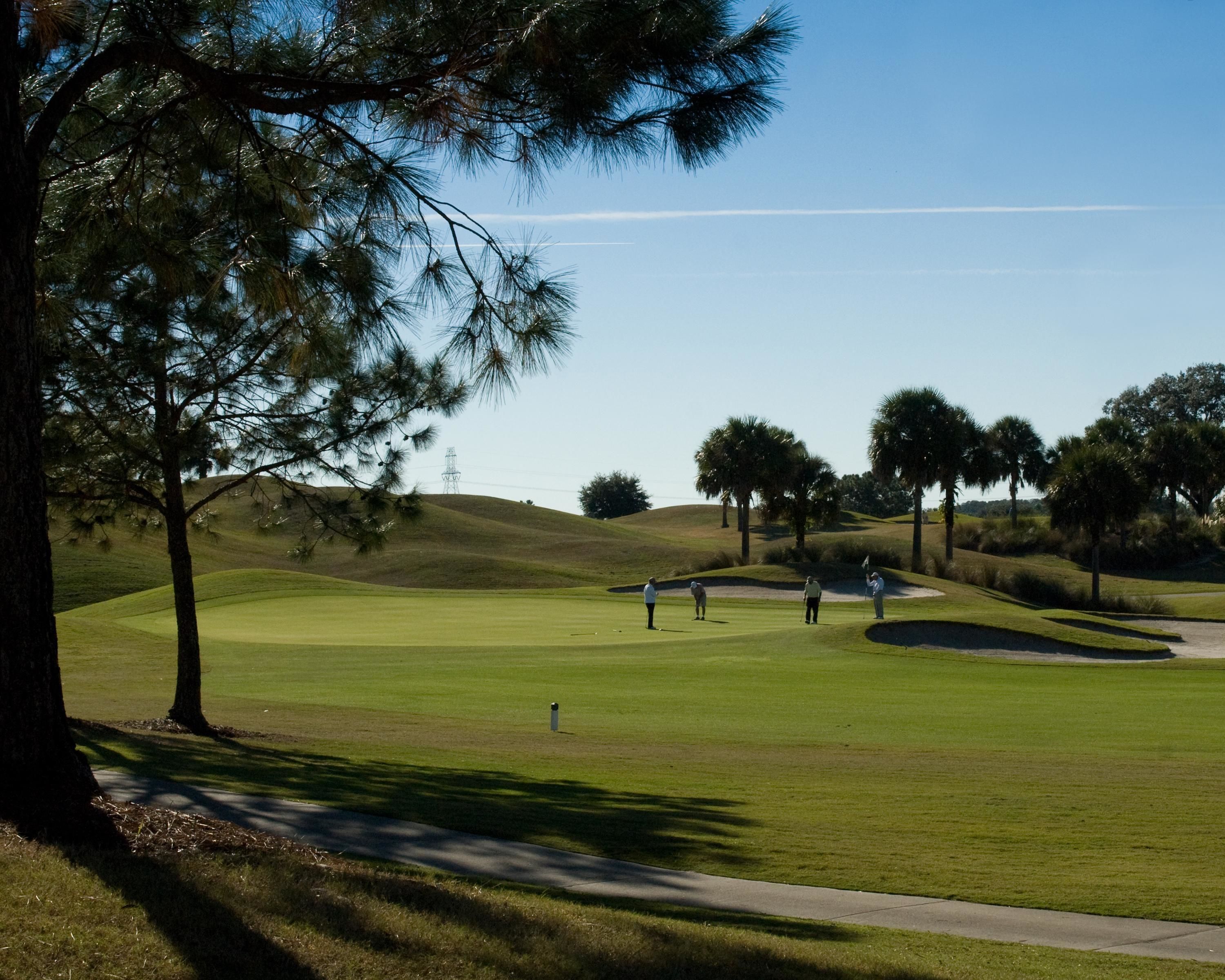 A golf course with a clear sky, trees, and a well-maintained lawn.