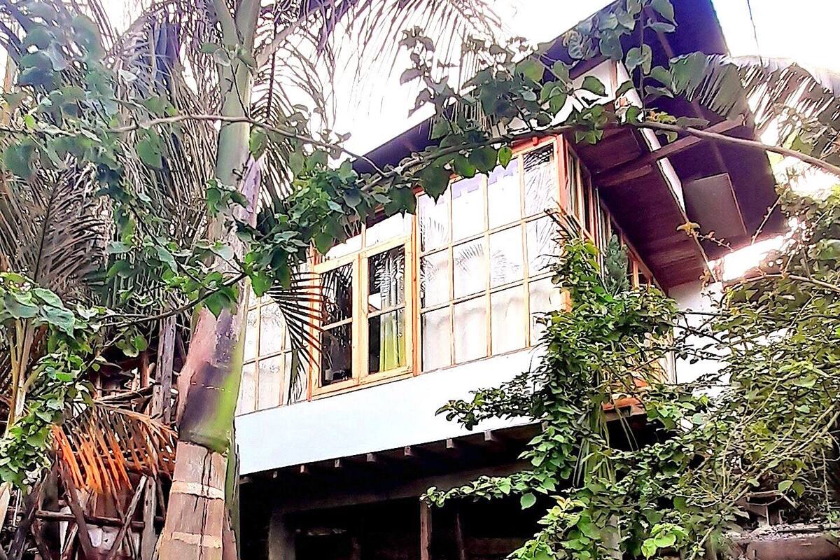 Un bâtiment rustique à la façade en bois, entouré d’une végétation luxuriante et de diverses espèces de plantes.