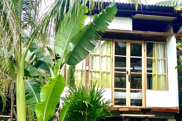 Basic Shared Dormitory, Mixed Dorm | Free WiFi, bed sheets