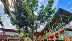 Un patio con un árbol central rodeado de diversas plantas y flores. Se observan varios niveles de un edificio con una decoración en tonos rojo y verde.