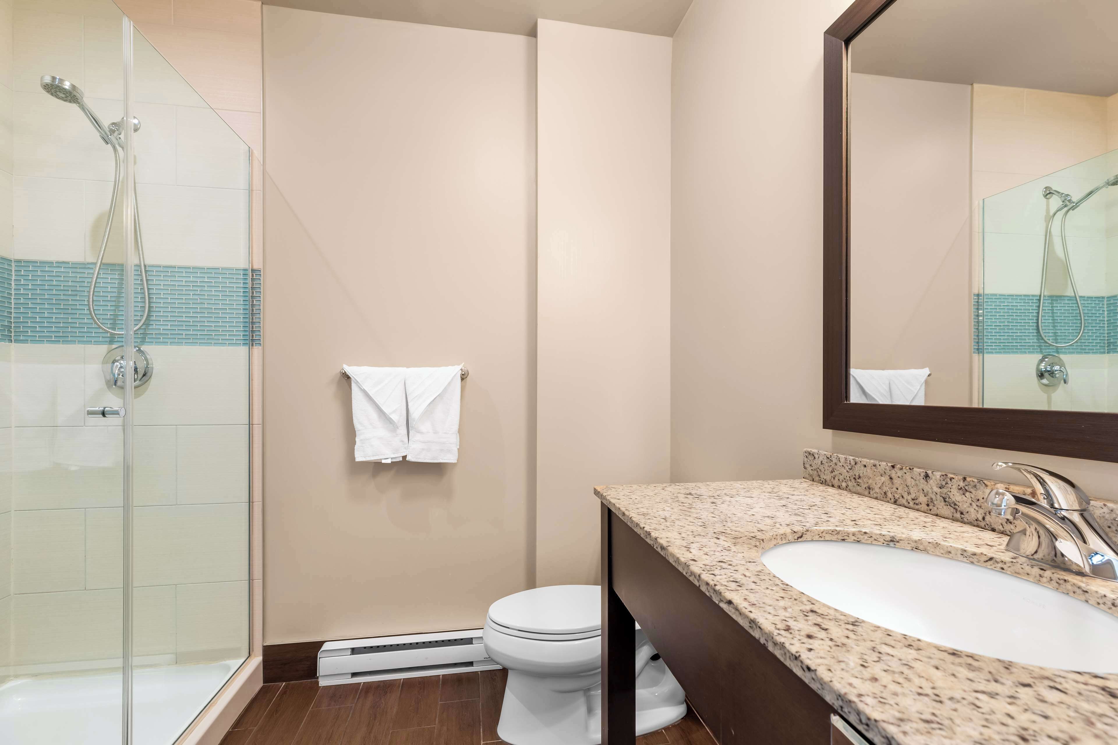 standard room, 1 king bed, non smoking, refrigerator | bathroom | free toiletries, hair dryer, towels