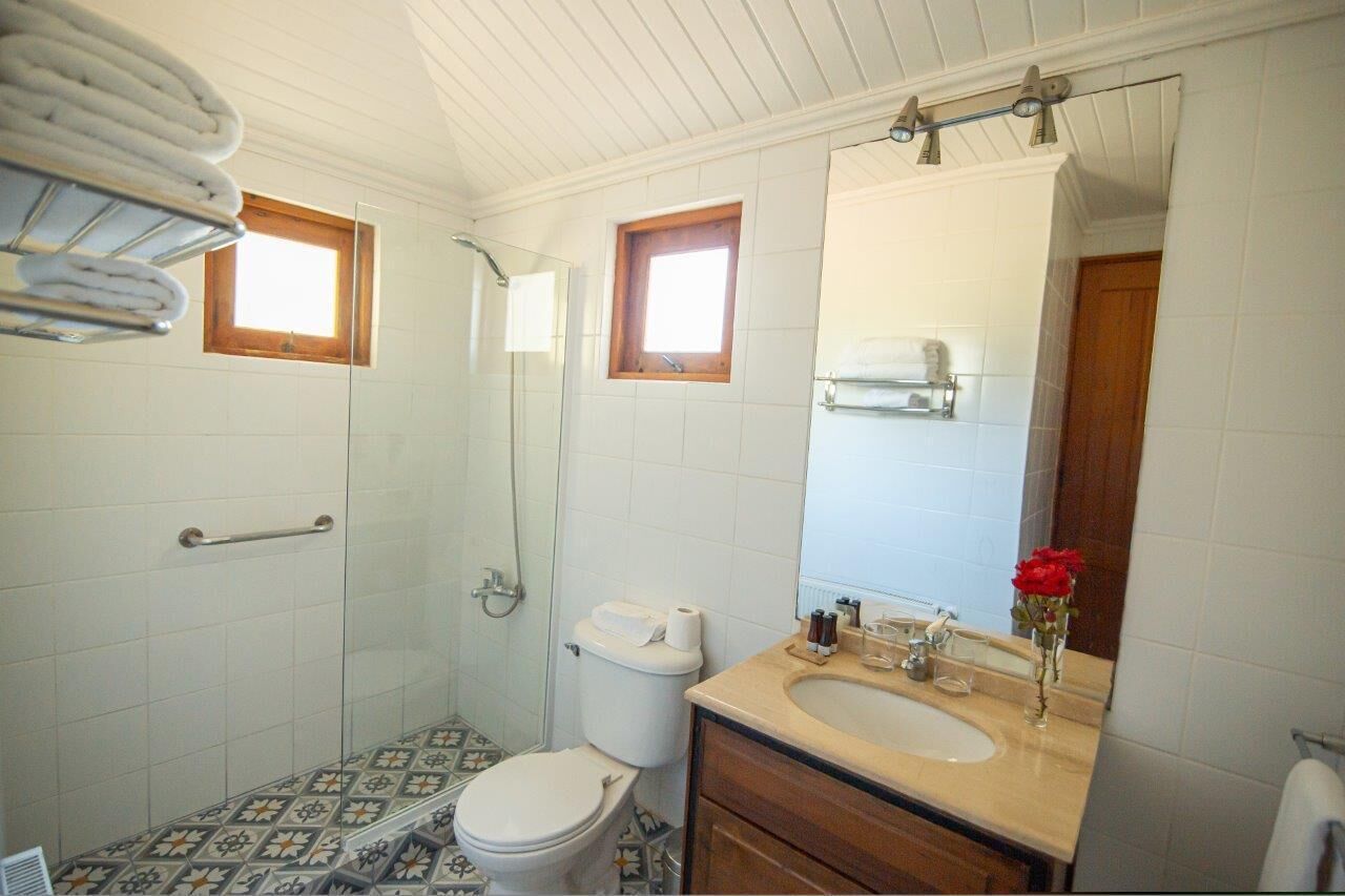 Un baño con inodoro, lavabo, espejo, ducha y toallero.
