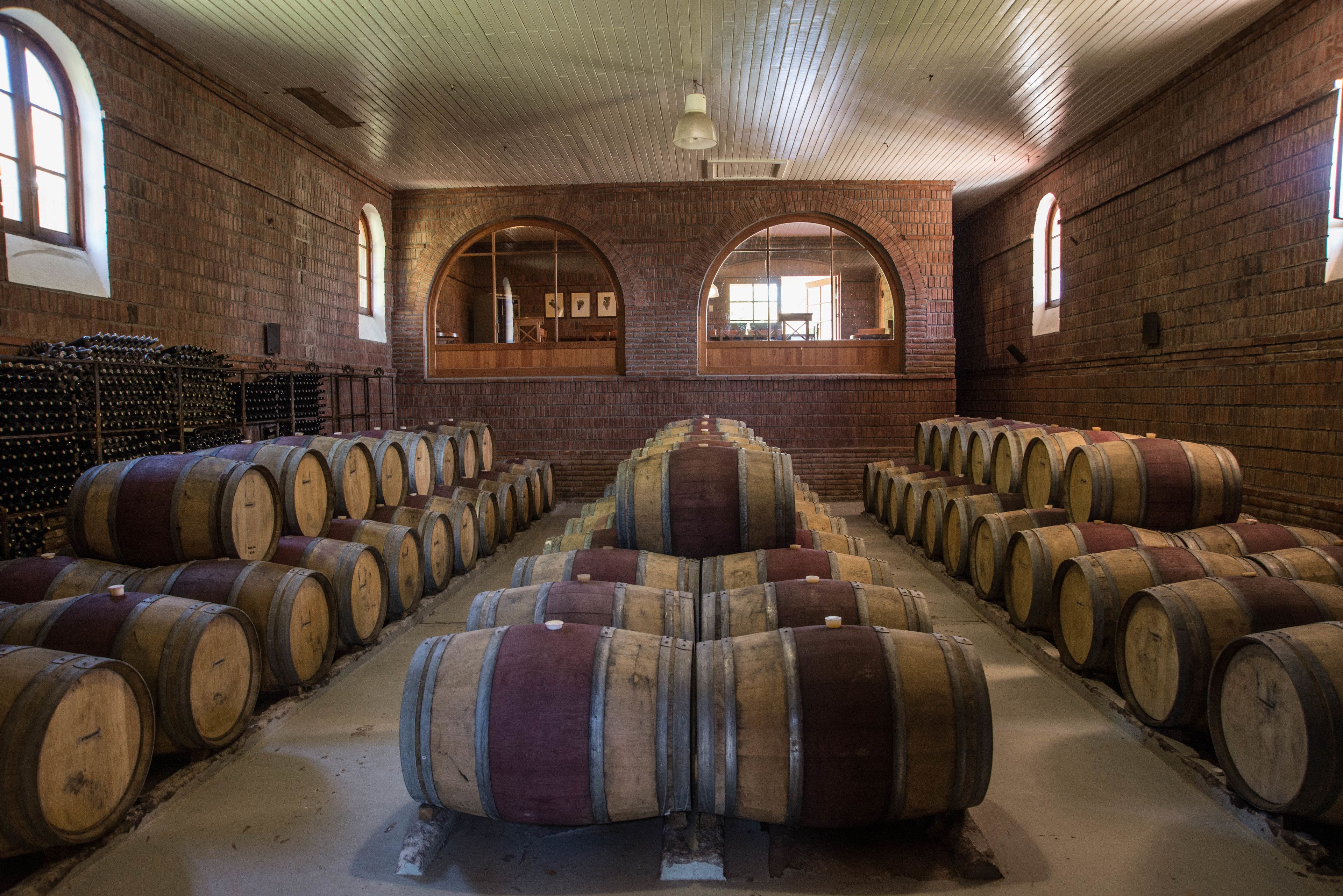 Una bodega con hileras de barriles de madera, ventanas apuntadas y paredes de ladrillo.