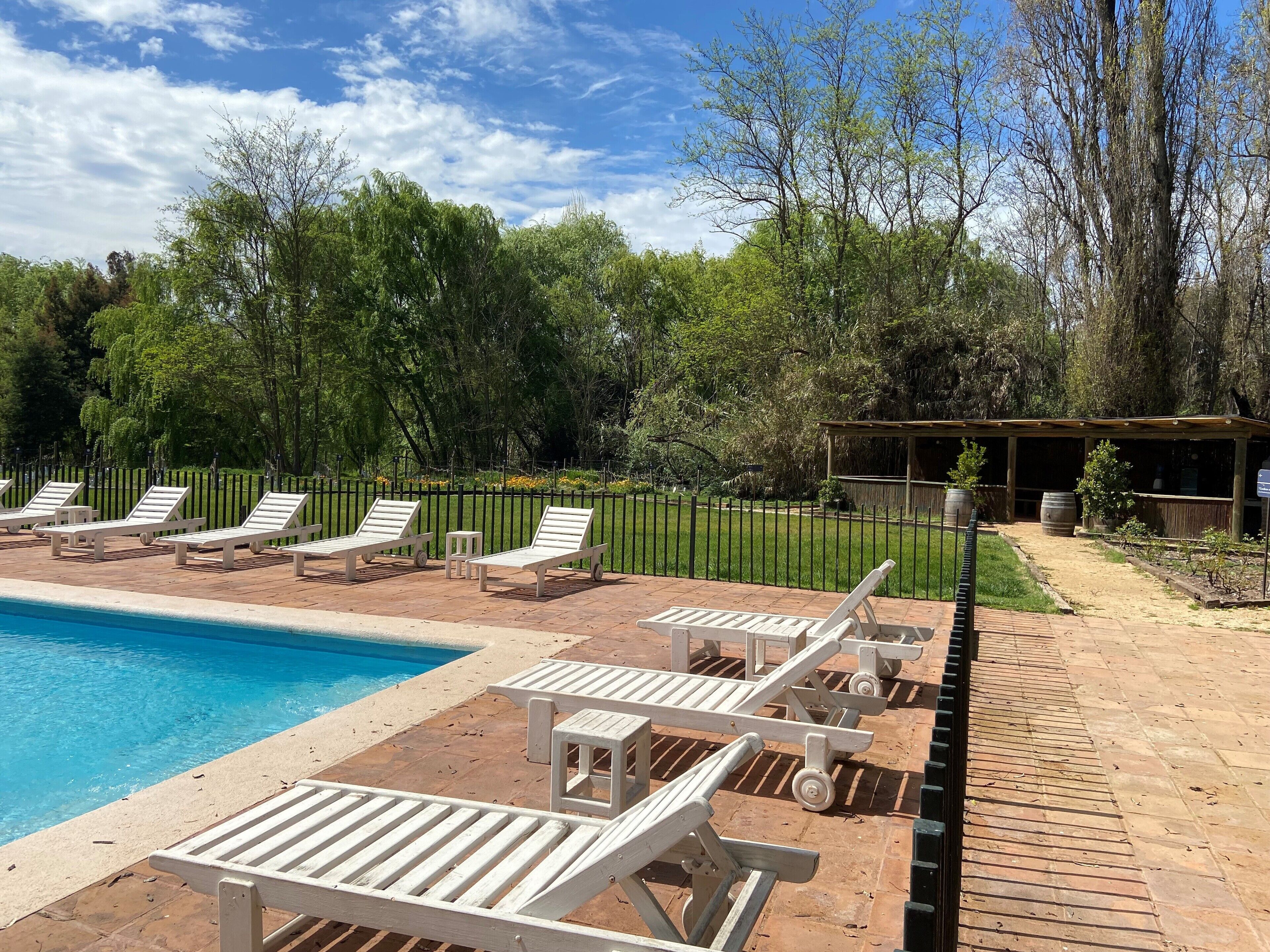 Piscine extérieure, parasols de plage, chaises longues