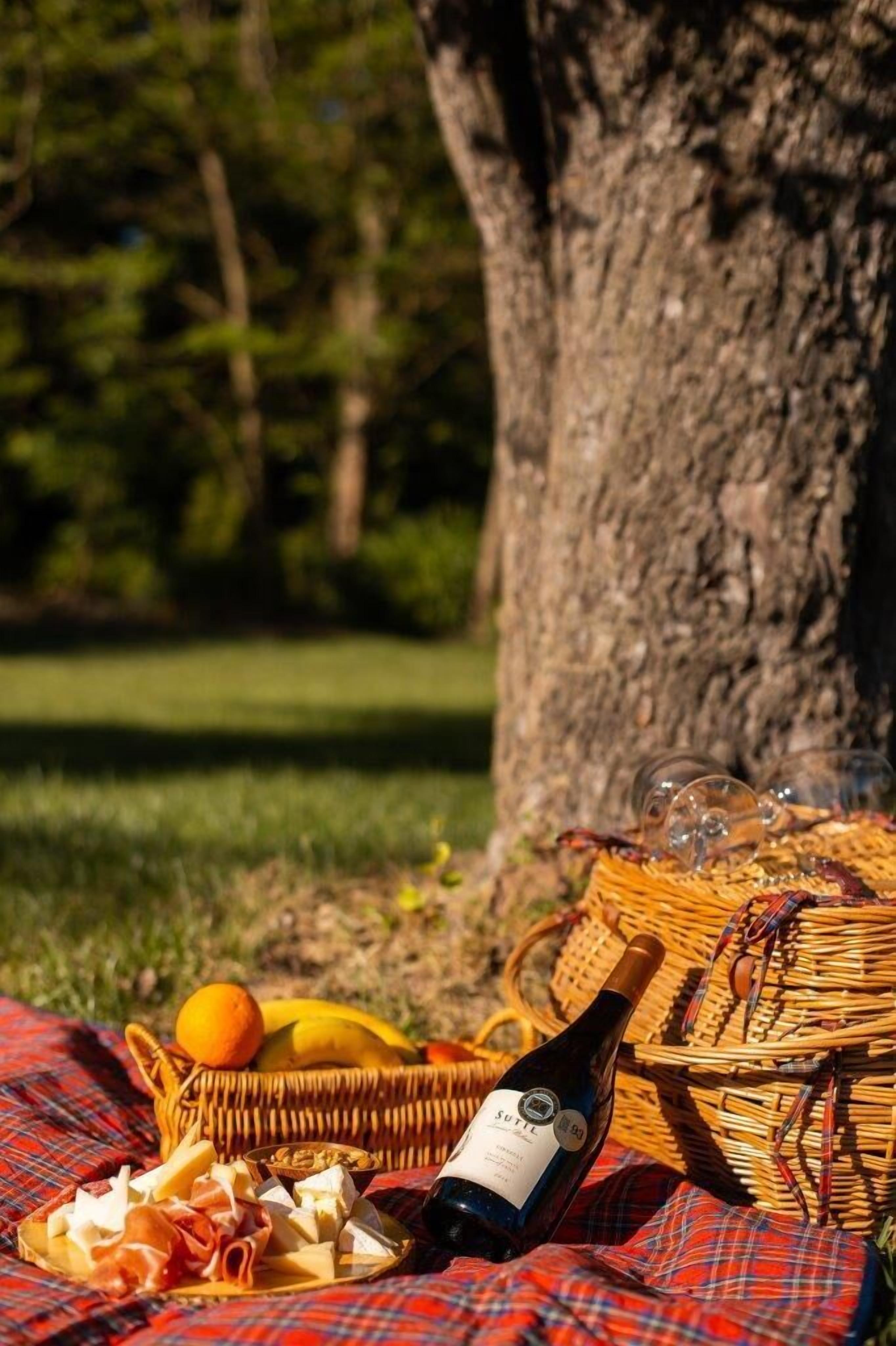 Un montaje para picnic con botella de vino, queso, frutas y una cesta sobre una manta bajo un árbol.