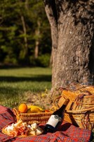 Un montaje para picnic con botella de vino, queso, frutas y una cesta sobre una manta bajo un árbol.