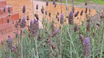 Jardín