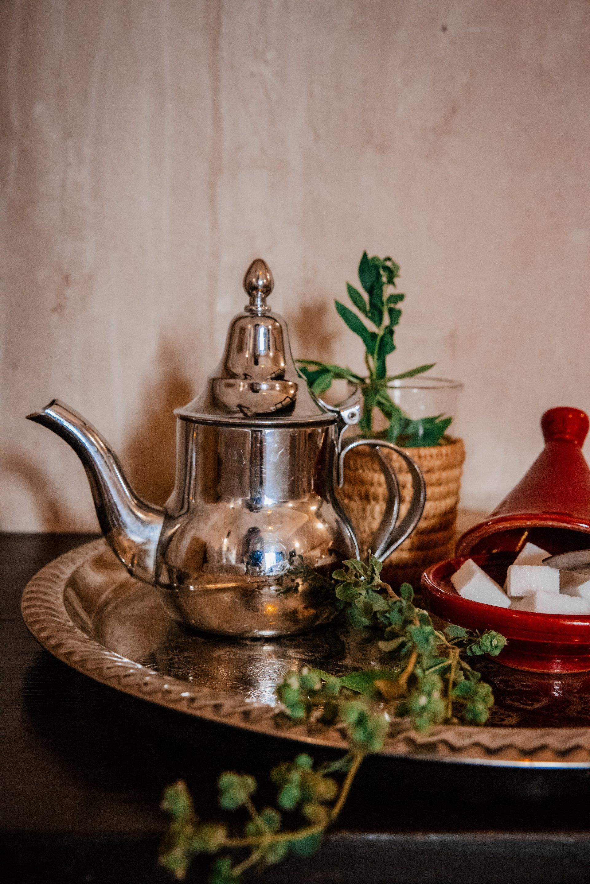 A silver teapot on a tray with a red container and a plant.