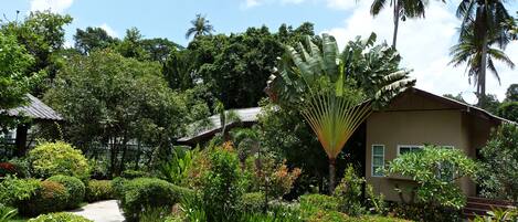 Un jardín tropical con un sendero que lleva a un edificio con una antena parabólica.