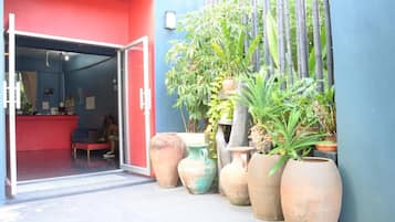 Ngoại thất