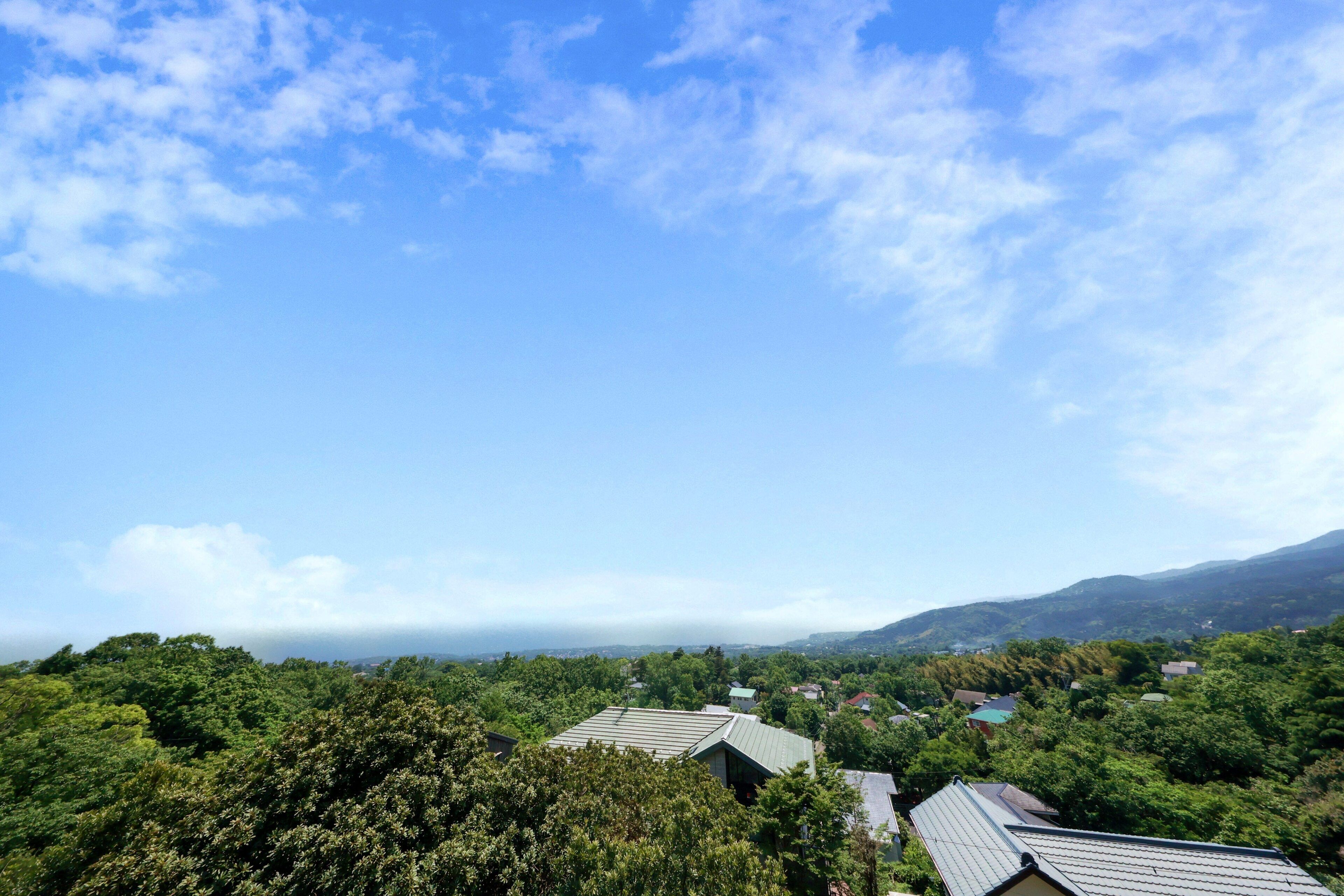 A residential area with houses surrounded by dense greenery and a clear blue sky.