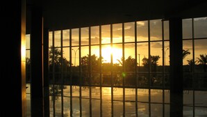 A view through a window with a grid pattern, reflecting a sunset over a body of water with palm trees in the background.