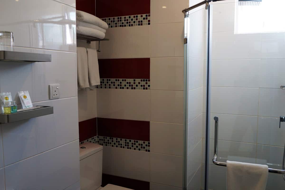 shower, free toiletries, hair dryer, towels