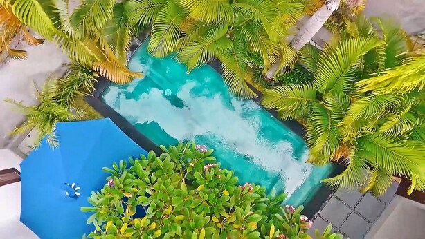 Une piscine entourée d’une végétation luxuriante et verdoyante, avec un parasol bleu.