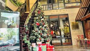 L’entrée d’un hôtel, avec un sapin de Noël, des marches menant à l’entrée et un escalier.