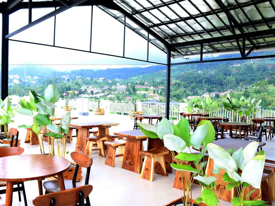 An outdoor dining area with wooden tables and chairs, surrounded by large green plants, overlooking a scenic view of a town and mountains.