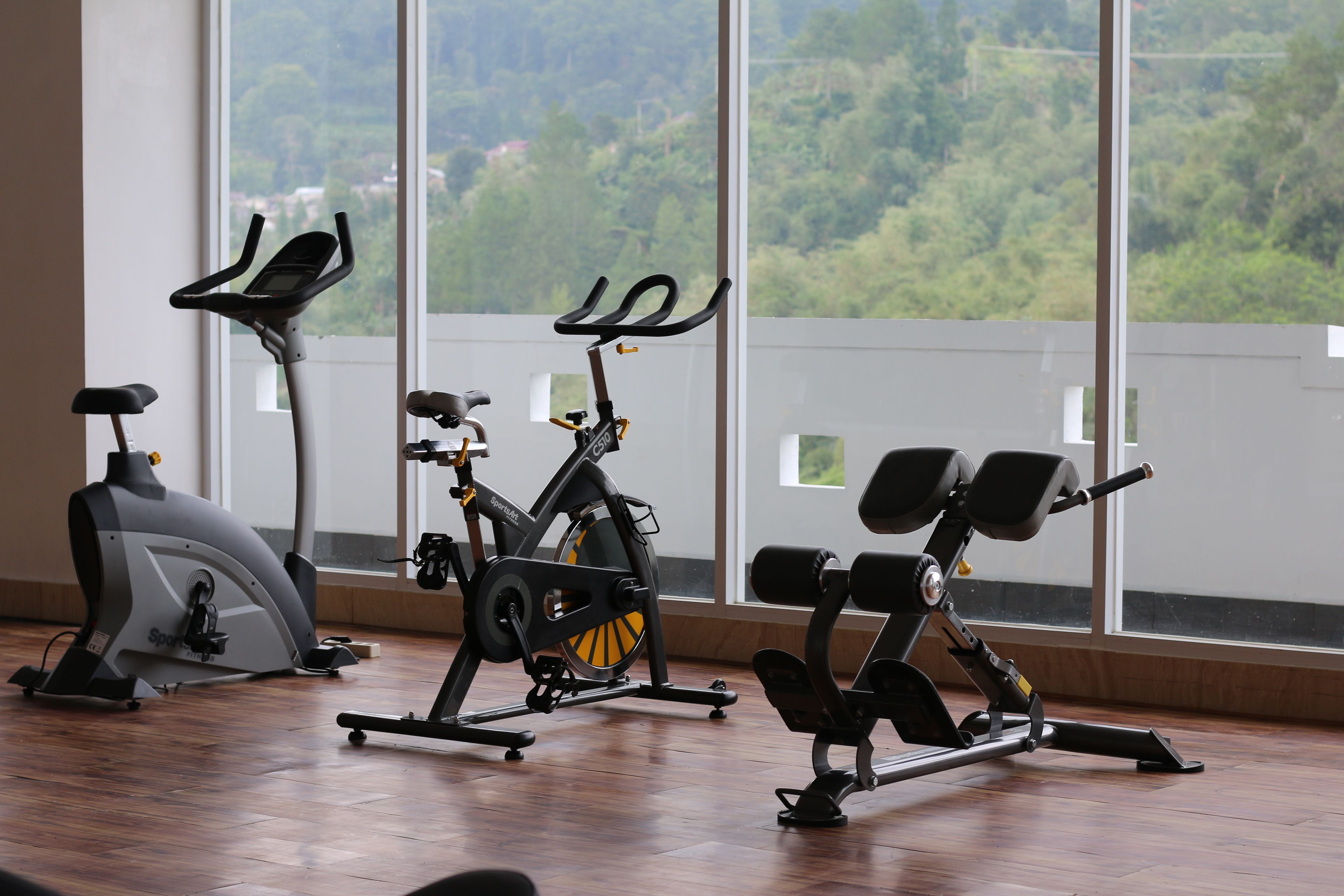 A gym with cardio machines and a view of a forest through large windows.