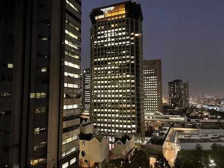 View from property. Toyoko Inn Shinagawa Konan Tennozu Isle
