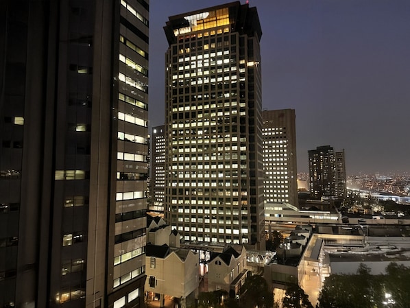 View from property - Toyoko Inn Shinagawa Konan Tennozu Isle (Tokyo)