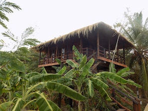 Canopy Treehouse | View from room