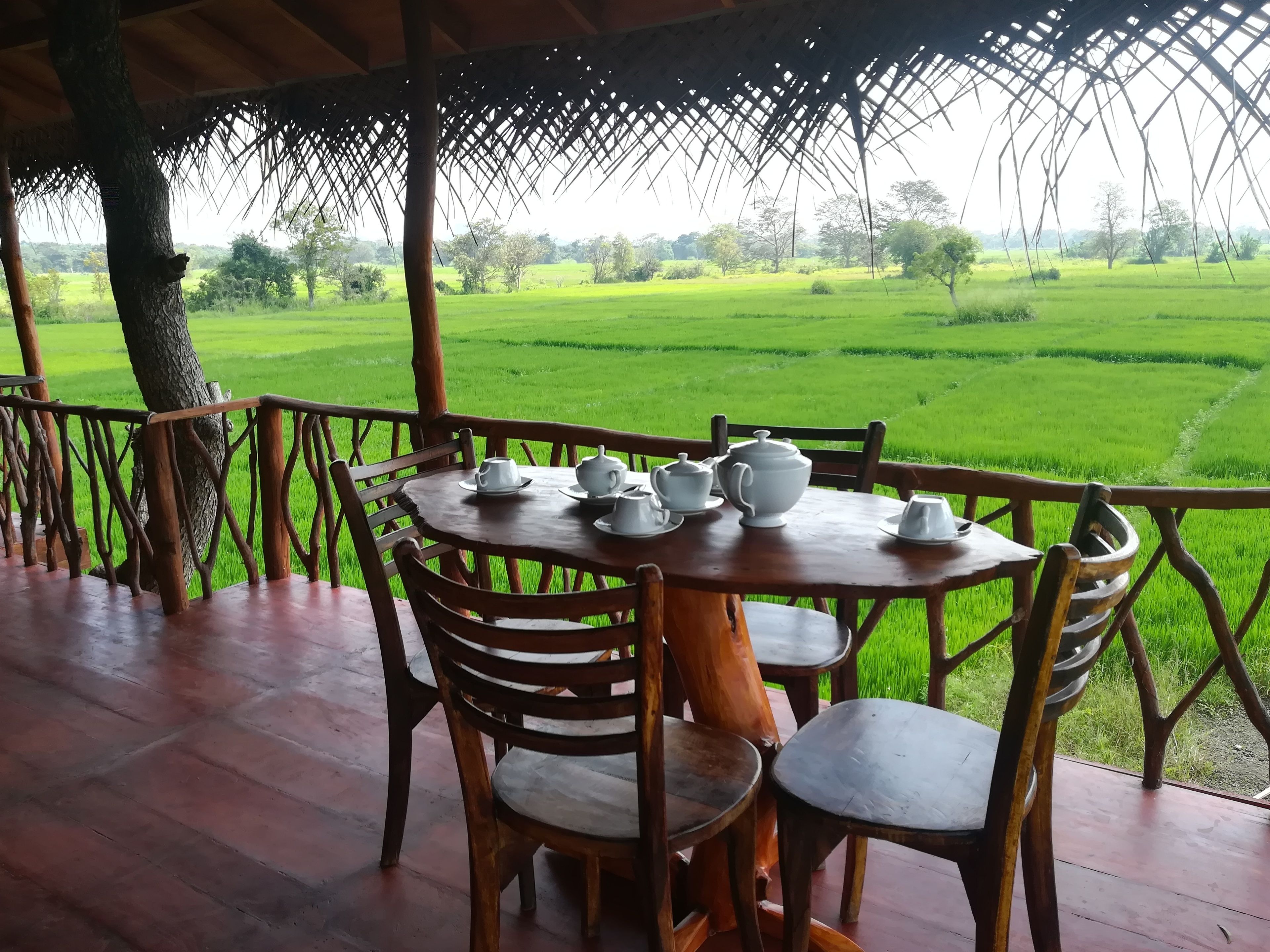 Family Tree House, 2 Bedrooms, Mountain View | Terrace/patio