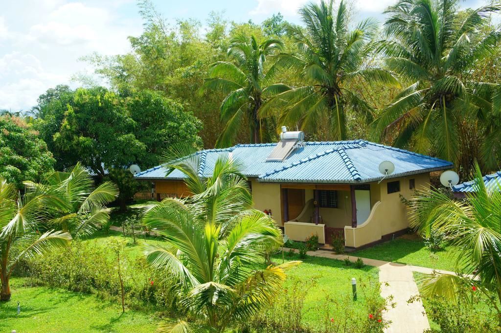 Familiekamer (AC) | Een minibar, individueel gedecoreerd, individueel gemeubileerd