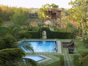 2 個室外泳池；躺椅