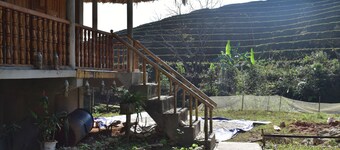 Thong Nguyen Homestay - Hostel