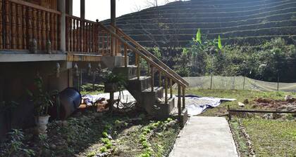 Thong Nguyen Homestay - Hostel