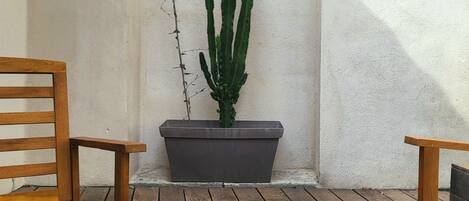 Una mesa de madera con alimentos para el desayuno, un cactus en maceta y una silla.
