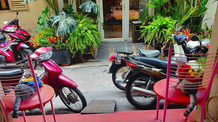 Sakura Hostel Saigon
