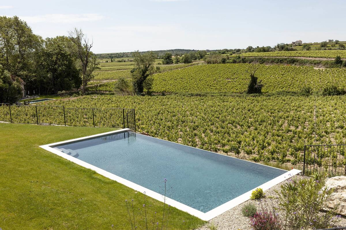 A rectangular swimming pool surrounded by a well-maintained lawn and a vineyard in the background.