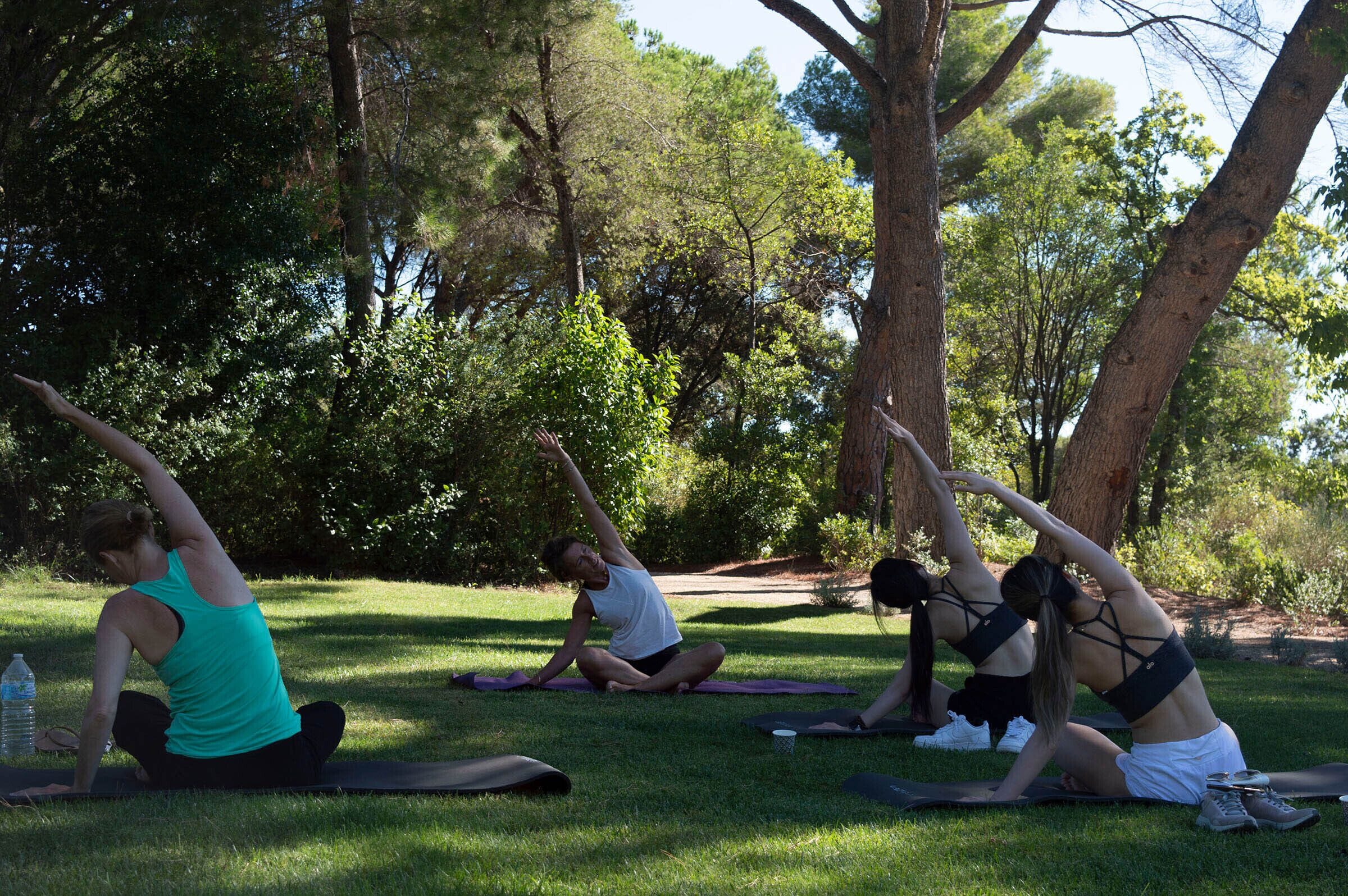 Eine Gruppe von Menschen praktiziert Yoga auf Matten in einem Park mit Bäumen und Gras.