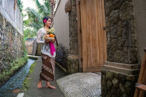View from property - Atman Villas (Ubud)