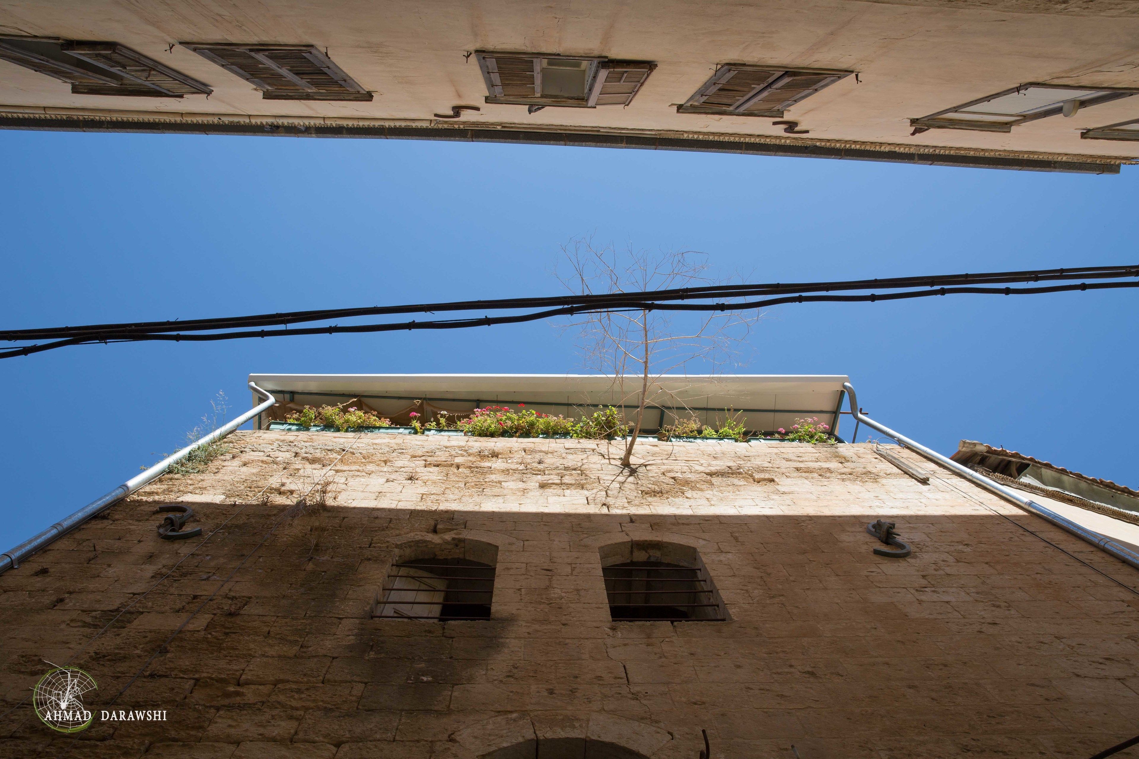 A view of a building's rooftop with a clear sky, visible pipes, and a tree.