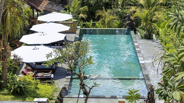 A swimming pool with lounge chairs and umbrellas, surrounded by lush greenery. - Jati Cottage (Ubud)